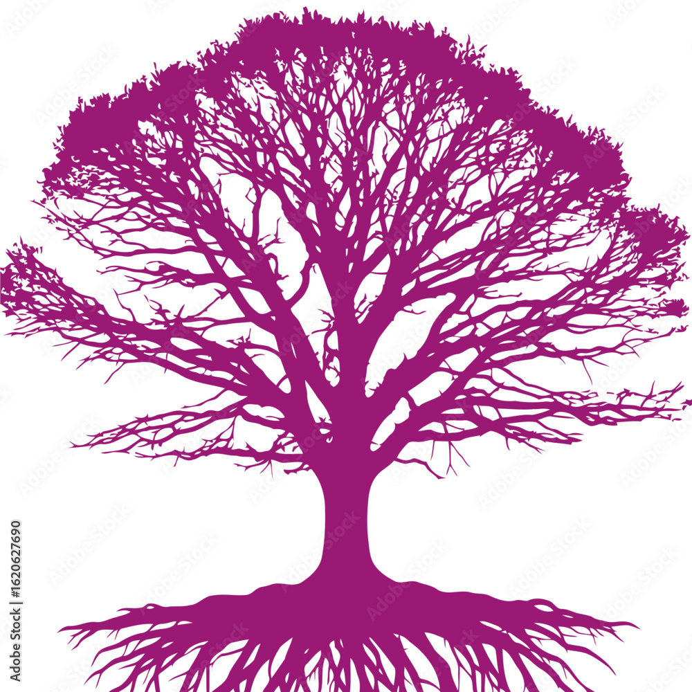 Obraz premium majestic purple tree silhouette with exposed roots, isolated on transparent background