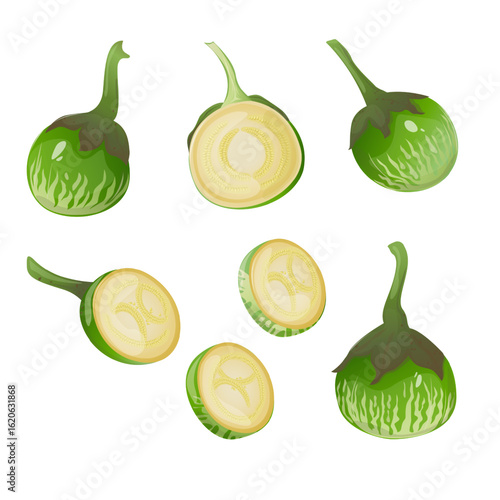 Thai eggplants, tropical vegetable is widely used in Southeast Asian cuisine. For food packaging, recipe books, restaurant menus, educational materials, blogs and farm market promotion
