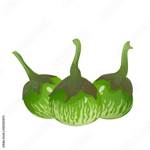 Thai eggplants, tropical vegetable is widely used in Southeast Asian cuisine. For food packaging, recipe books, restaurant menus, educational materials, blogs and farm market promotion