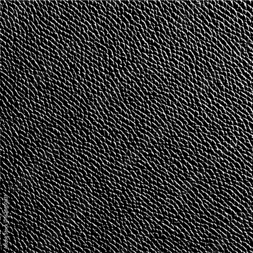 Black and white image showcasing a dense pattern of small curved shapes resembling a textured surface with detail
