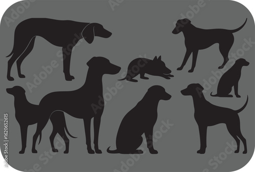 Diverse canine silhouettes a collection of dog breeds in various poses on a gray background