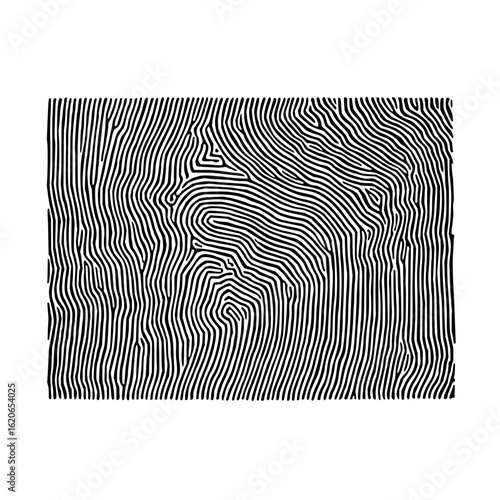 Abstract black and white fingerprint pattern with swirling lines and unique ridge formations design art