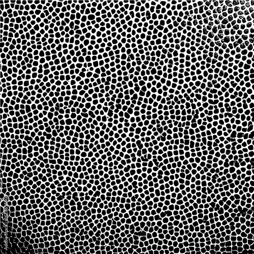 Black and white illustration showing a dense pattern of irregular shapes resembling reptile skin texture