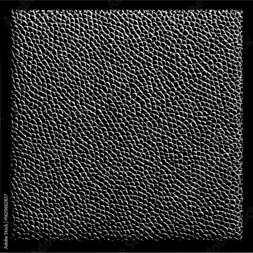 Detailed close up of a textured surface with a pattern of small rounded shapes in black and white tones