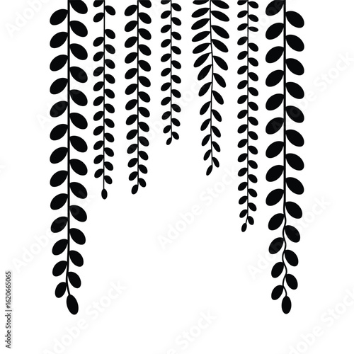 Vector silhouette of hanging jungle vines and liana sets in black and white isolated illustration