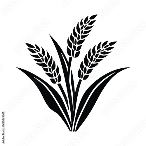 Harvest Bounty A Detailed Black Silhouette of Wheat Stalks on a Transparent Background Representing Agriculture, Abundance, and the Beauty of Rural Landscapes