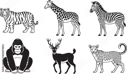 Photography Exotic Wildlife Collection: A Striking Array of Wild Animals from the Jungle and
