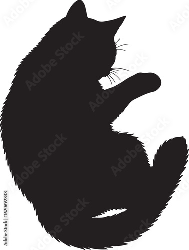 Sleeping cat on its back with belly up, silhouette  art on white background
