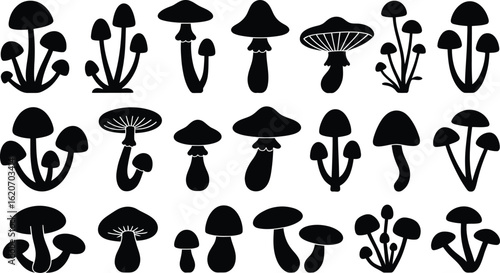 Collection of mushroom silhouettes. A large set of black graphic icons of different fungi types isolated on a white background.