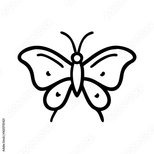 butterfly vector illustration