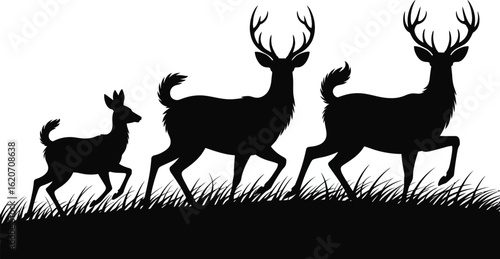 Silhouette of a deer family with a fawn and two bucks walking on a grassy hill