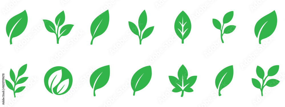 Collection of green leaf and sprout silhouette icons in various botanical shapes, perfect for eco design, nature branding, and sustainability themes Collection of green leaf and sprout silhouette icons in various botanical shapes, perfect for eco design, nature branding, and sustainability themes