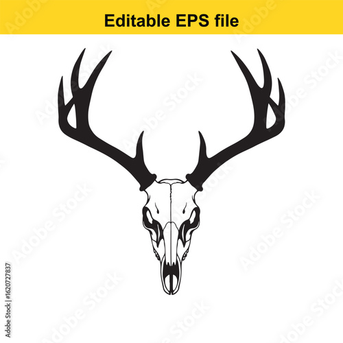 Vector art of graphic illustration of a deer skull with antlers isolated on white