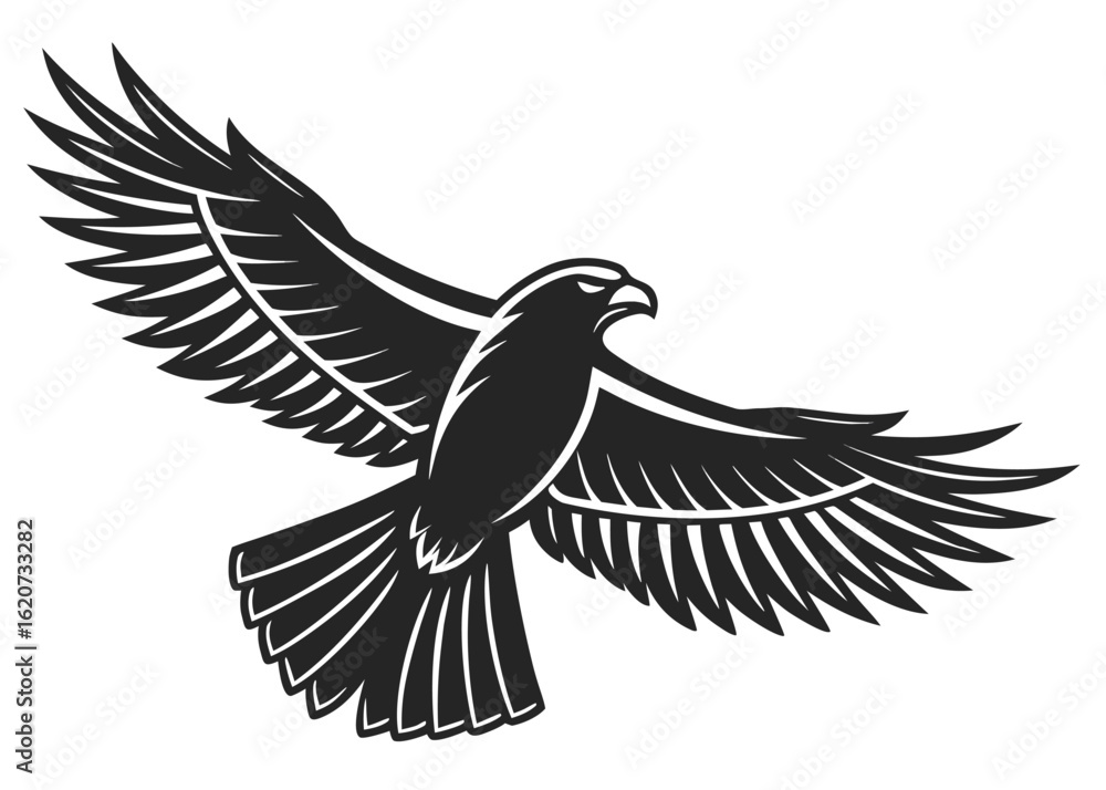Obraz premium Black and White Hawk in Flight Detailed Wing Feathers Bird Silhouette Graphic Design Element eagle 1