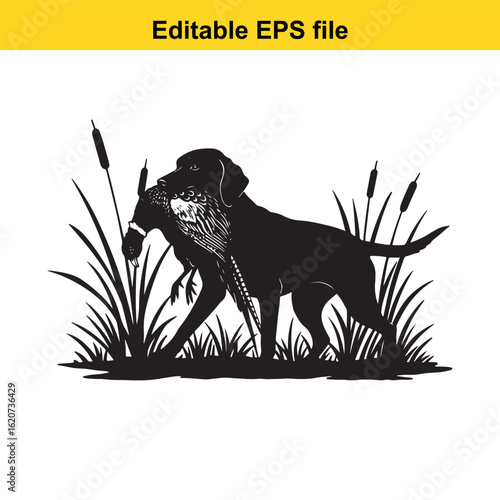 Vector art of hunting dog retrieving a pheasant in tall grass silhouette