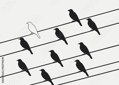 Nine Black Birds One White Bird Perched on Power Lines Simple Minimalist Graphic Design bird silhouettes