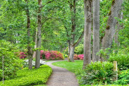Hendricks Park Native Garden Wooded Pathway in Eugene Oregon