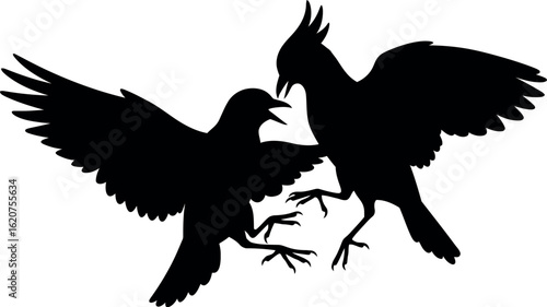 Silhouette of two birds fighting wing spread