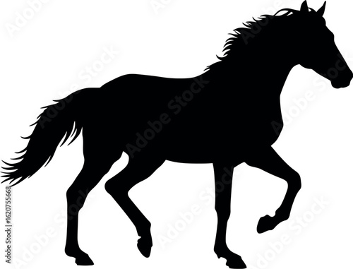 Black horse silhouette galloping