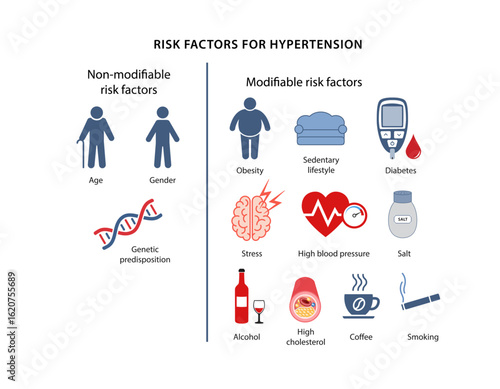 Risk factors for hypertension. Medical illustration. Vector illustration in a flat style isolated over white background