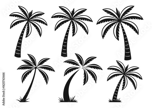 Six Black Silhouette Palm Trees in Different Poses on White Background tropical nature