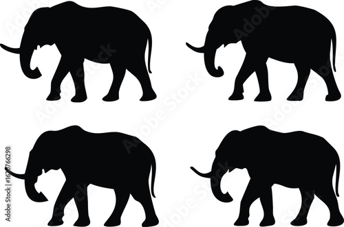 Solid Black Background plain dark