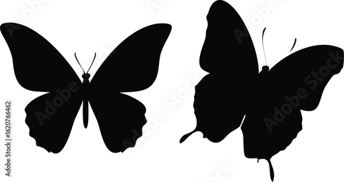 Solid Black Background texture dark