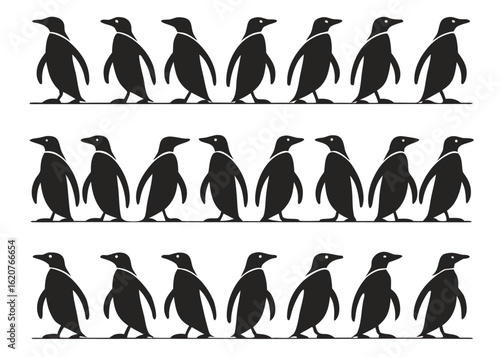 Three rows of black penguin silhouettes on a white background vector illustration
