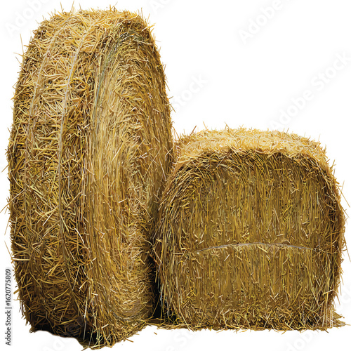 vector, hay bale isolated on transparent background