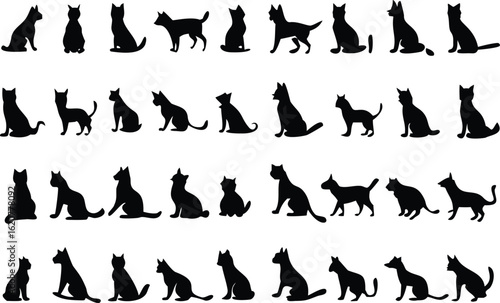 Black background Keywords: black, dark, empty, plain, solid, background, texture, abstract, simple, monochrome, deep, void, shadow, absence, nothingness, space, surface, backdrop, minimal, opaque