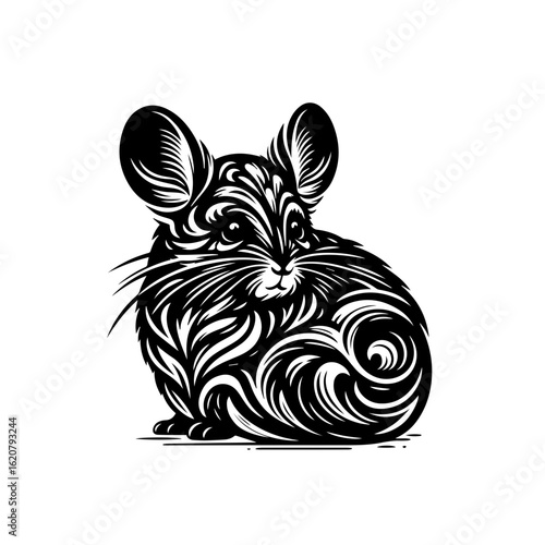 A fluffy chinchilla with big ears, isolated on white background