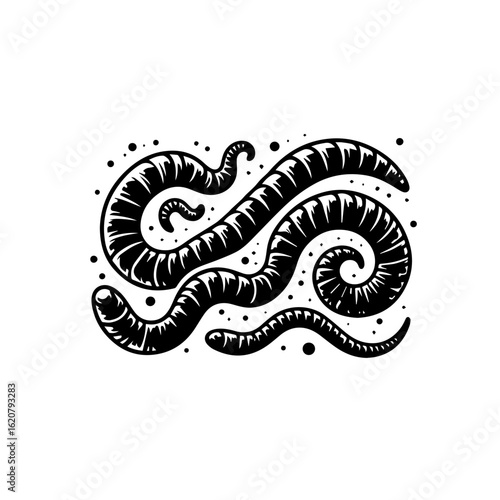 Group of earthworms wriggling in soil isolated on white background