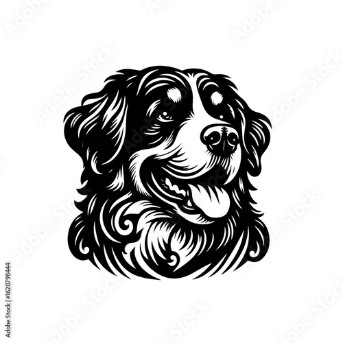 Illustration of a bernese mountain dog isolated on white background, head portrait
