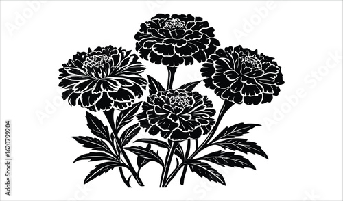 Black and white linocut illustration of a cluster of marigold flowers