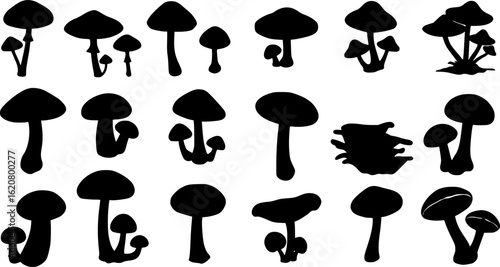 Mushroom silhouettes set, large pack of vector silhouette design, isolated white background
