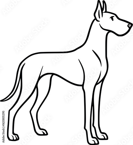 Line art vector of great dane tall and elegant, straight legs and long muzzle, vector-friendly, isolated on white