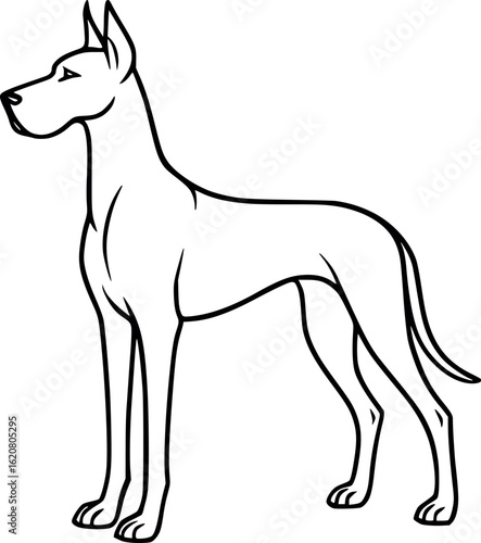 Line art vector of great dane tall and elegant, straight legs and long muzzle, vector-friendly, isolated on white