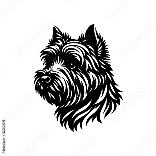 Illustration of a cairn terrier dog head isolated on white background