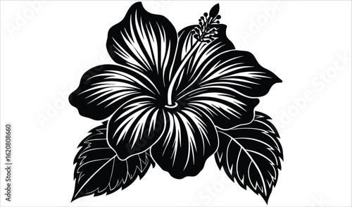 Detailed black and white illustration of a tropical hibiscus flower with leaves