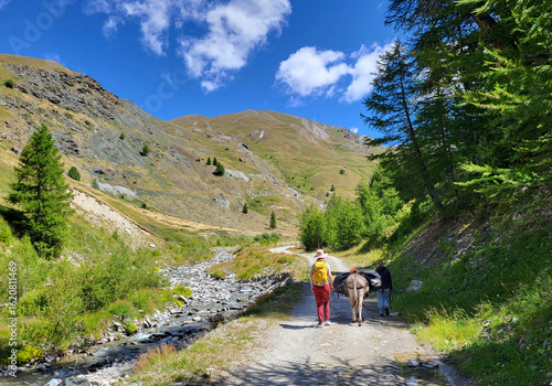 Parc Régional du Queyras, Hautes-Alpes, France