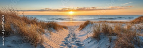 Sandy Beach Path to Sunrise Over Sea, seascape , ocean