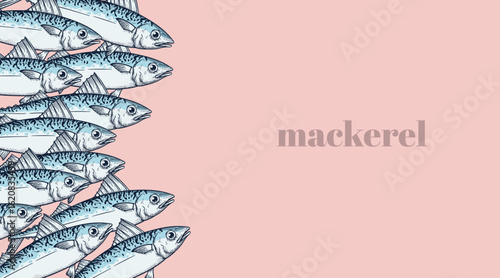 Set of mackerel fish. A school of fish on a pink background. Seafood restaurant retro hand drawn design template. Vector illustration.
