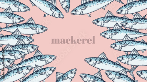 Set of mackerel fish. A school of fish on a pink background. Seafood restaurant retro hand drawn design template. Vector illustration.