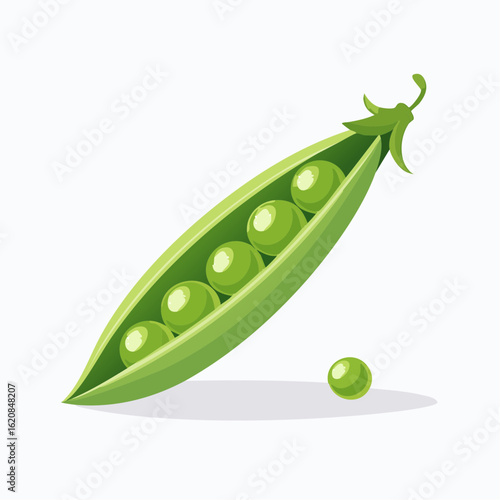Erbsenschote – Symbol für vegane Proteinquelle