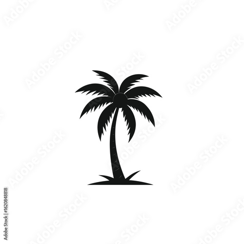 Coconut tree silhouette icon on white background