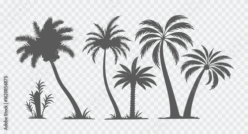 Collection of palm tree silhouettes against a clear sky, evoking a tropical paradise and vacation vibes