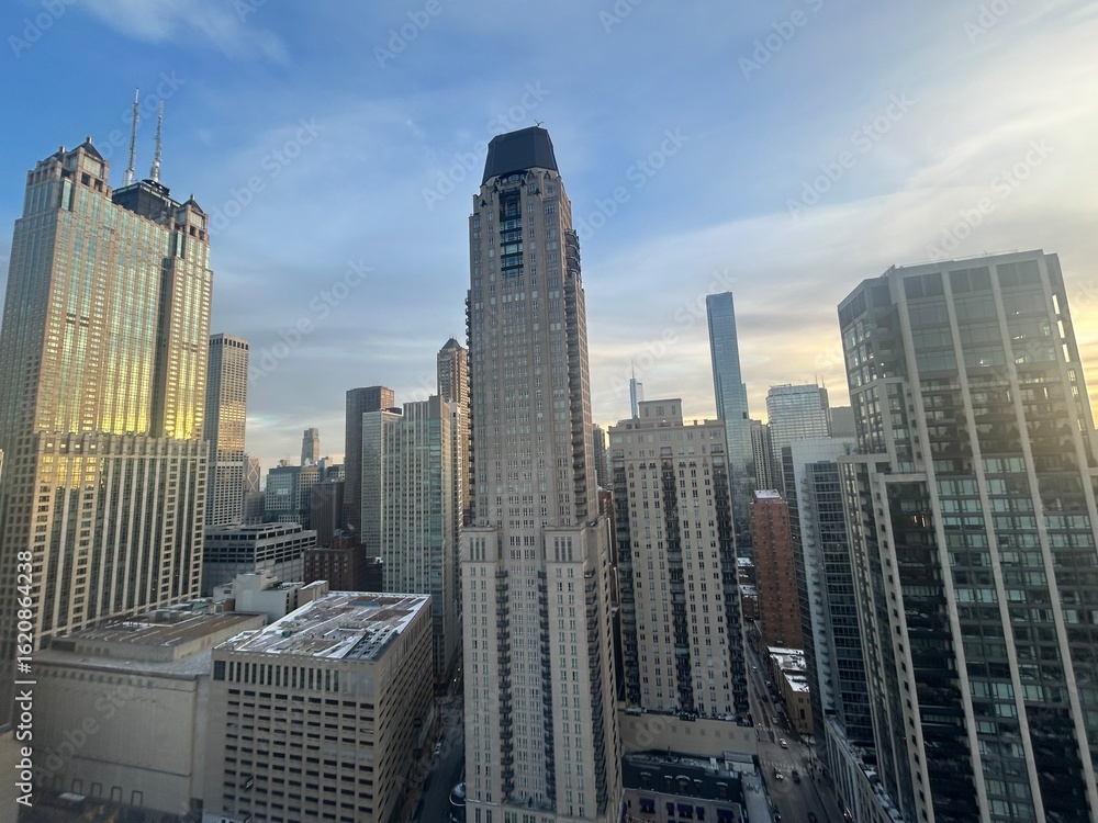 Fototapeta premium Chicago skyline