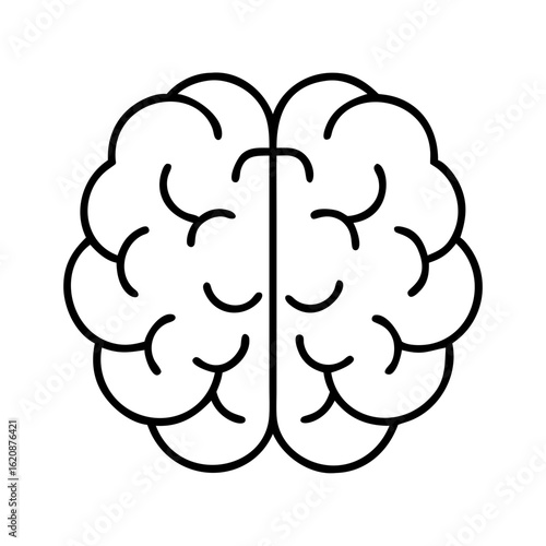 Human brain illustration for medical education and neuroscience research and psychology study aid