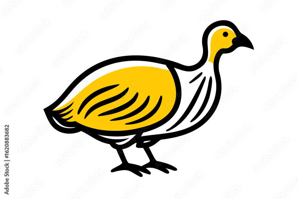 Obraz premium Guinea fowl