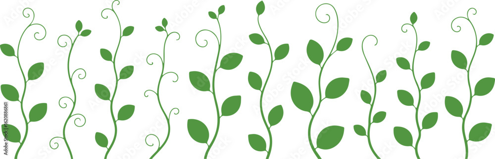 Obraz premium Set of stylized green plant vines with oval leaves and curling tendrils isolated illustration